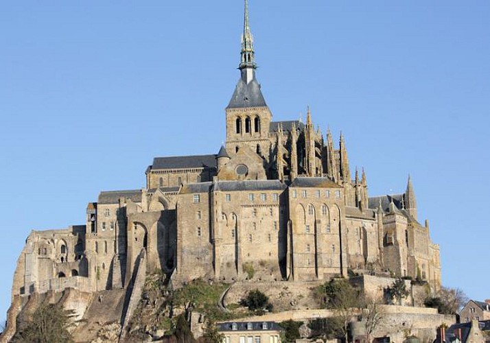 Mont Saint-Michel in libertà - Partenza da Parigi
