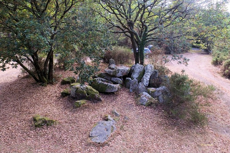 Herbignac, porte ouverte vers la Bretagne