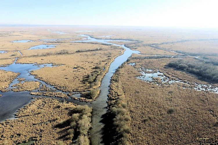 Herbignac, porte ouverte vers la Bretagne