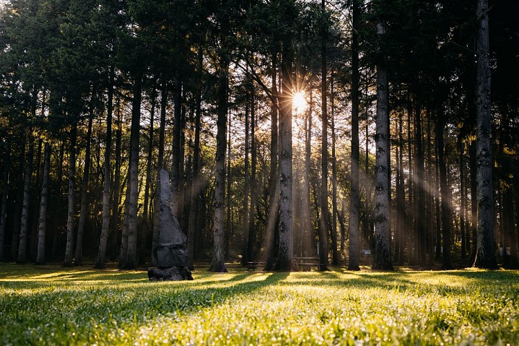 Parcourez le Parc de la Source Volvic