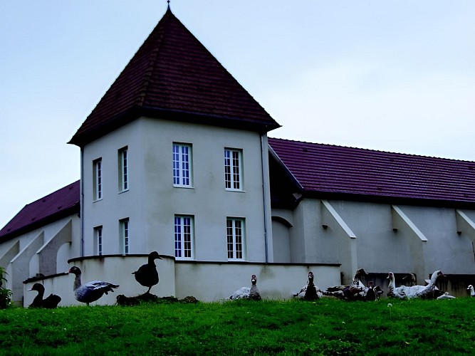 Domaine des Essarts Bâtiment