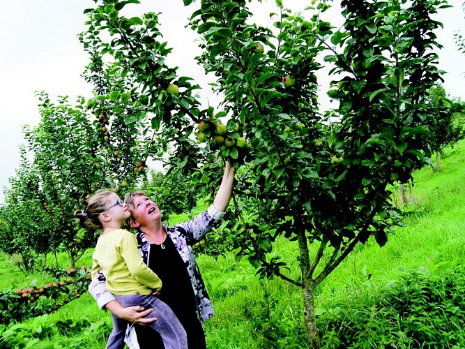 Le Domaine des Essarts - Chez Dana Lerner