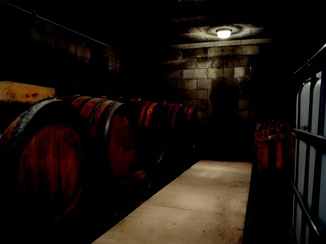 Domaine des Essarts Cave