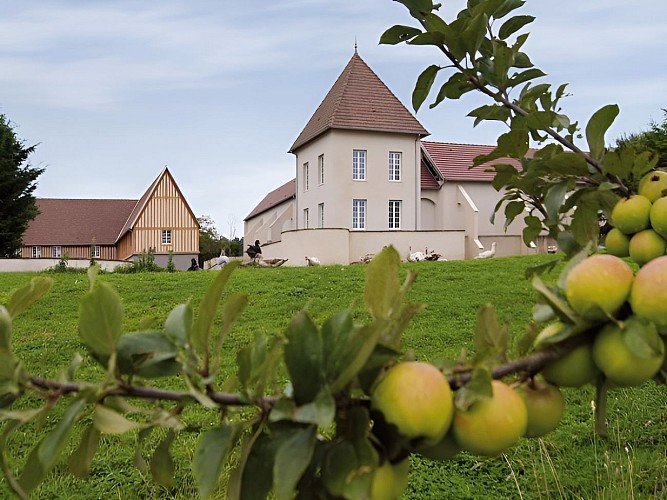 Domaine des Essarts Vue générale