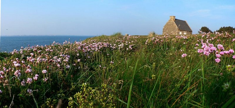 Piriac-sur-Mer, la carte postale