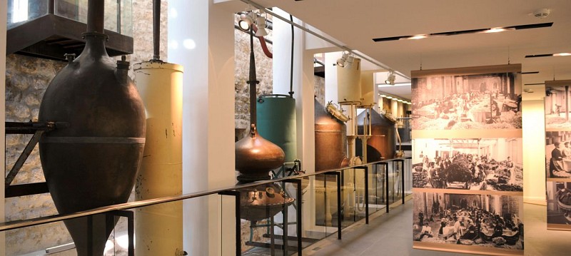 Billet Musée International de la Parfumerie – Audioguide inclus - Grasse