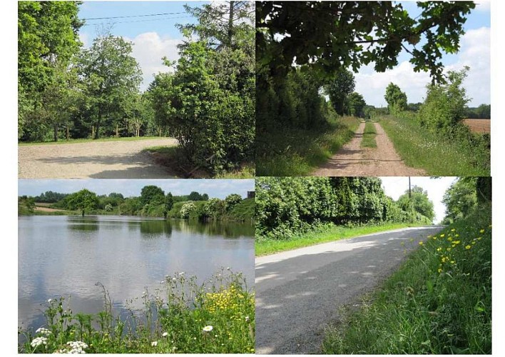 MAISON LES BRUYÈRES