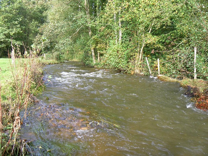 Parcours pêche no kill truite du Teilleul