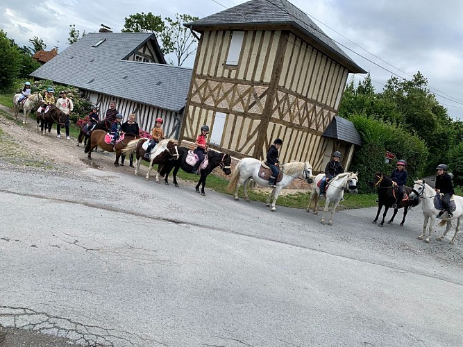 Balades en poney