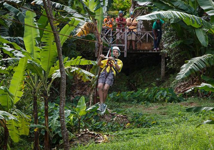 Zip-Lining & Travel Through the Canopy by Cable Car – In St. Lucia