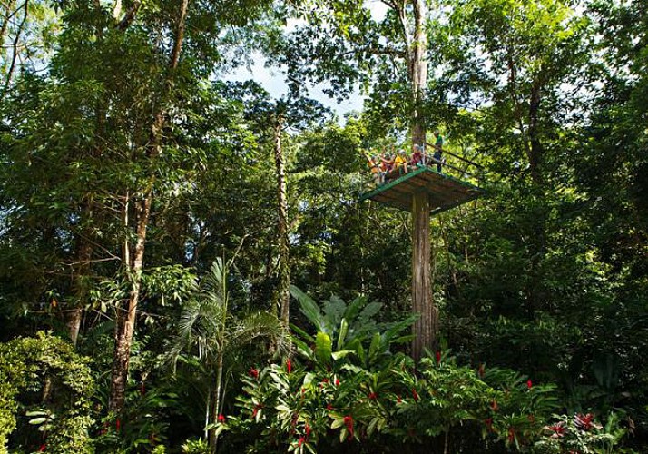 Zip-Lining & Travel Through the Canopy by Cable Car – In St. Lucia