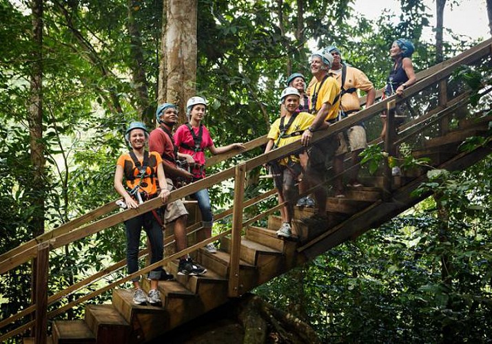 Zip-Lining & Travel Through the Canopy by Cable Car – In St. Lucia