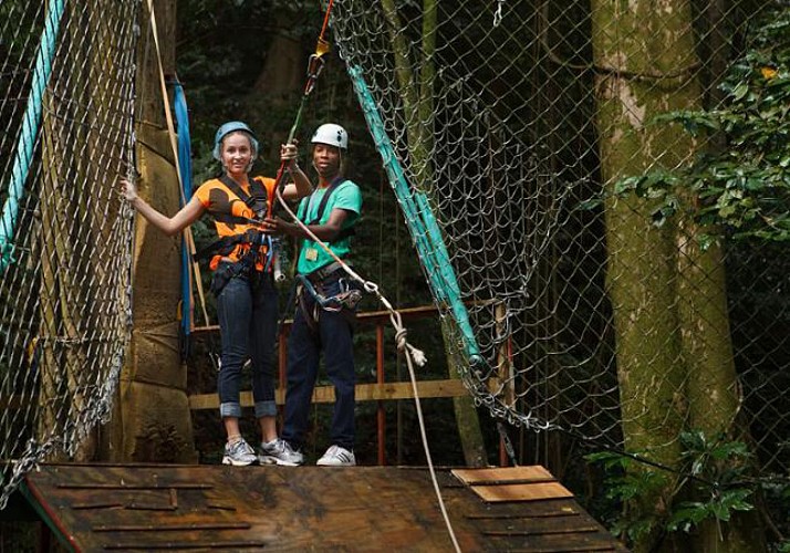 Zip-Lining & Travel Through the Canopy by Cable Car – In St. Lucia