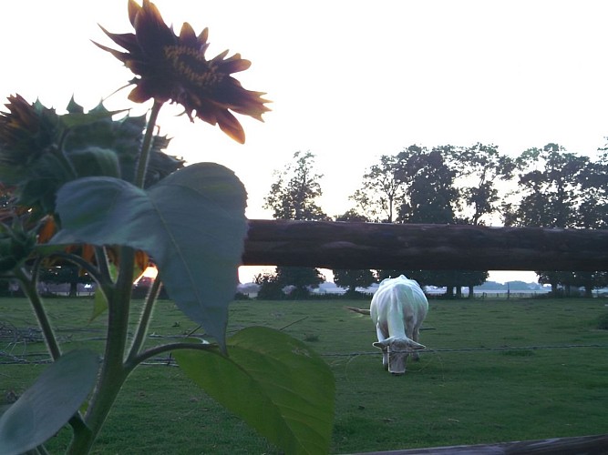 La Ferme des Châtaigniers