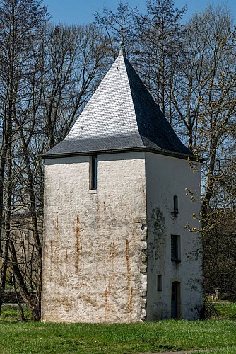 La tour de l’ancien château Saint-Rémy