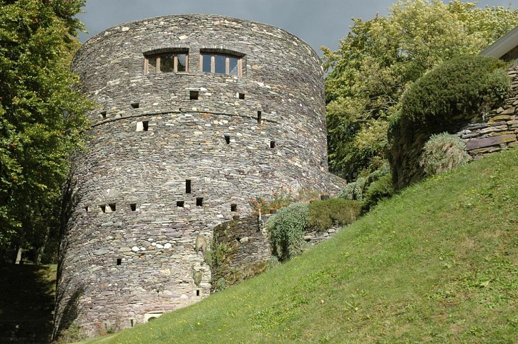 Le château des comtes de Salm