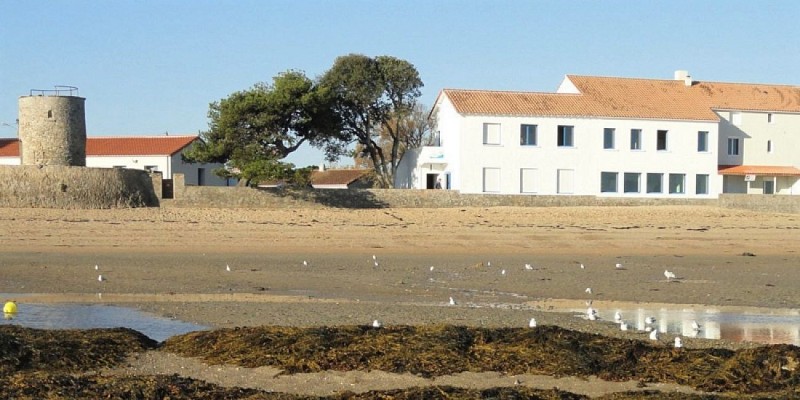 CENTRE DE L'ESTRAN - ASSOCIATION CAMPAGNE - MER - MONTAGNE