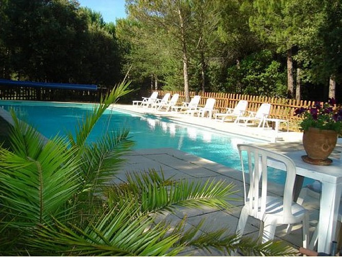 Mas Pepette - Le charme de la Provence