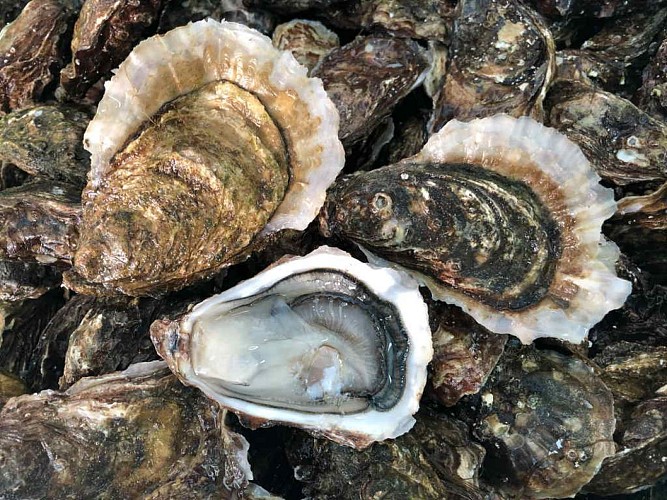 La Cabane du P'titgas