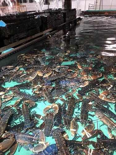 La Cabane du P'titgas