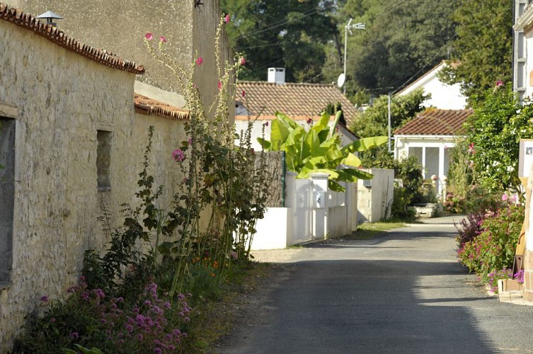 Puits de la rue du Grand Brandais