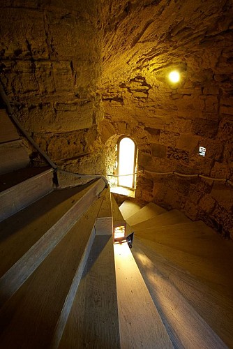 Le château de Talmont