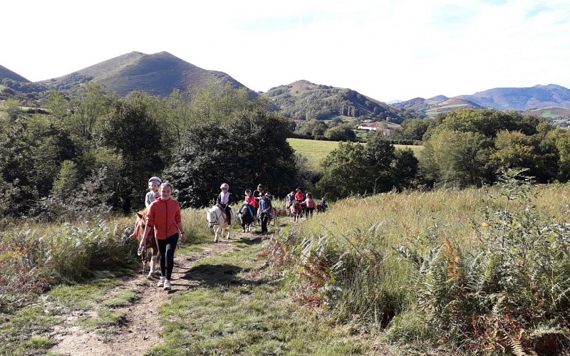 Balades à poney Ttikientzat (1)