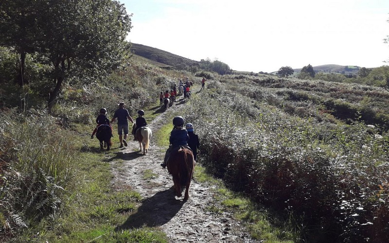 Balades à poney Ttikientzat (4)