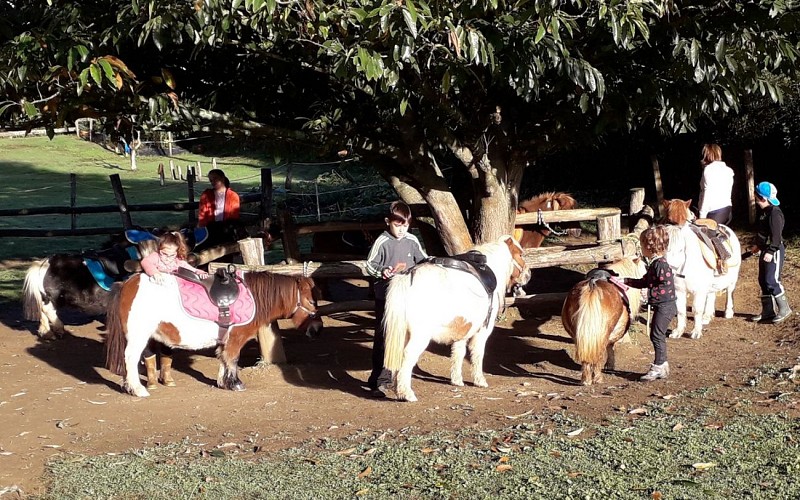 Balades à poney Ttikientzat-Saint Martin d'Arberoue