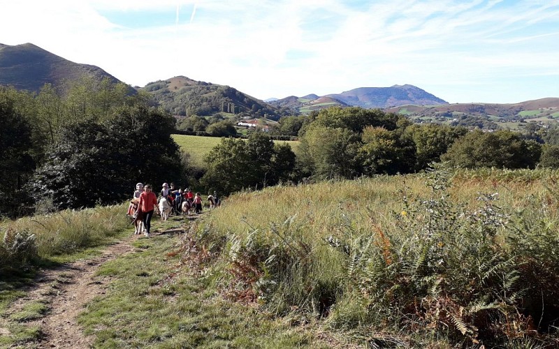 Balades à poney Ttikientzat-Saint Martin d'Arberoue