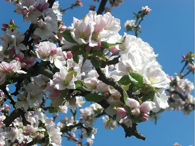 Cave de la Loterie (1)