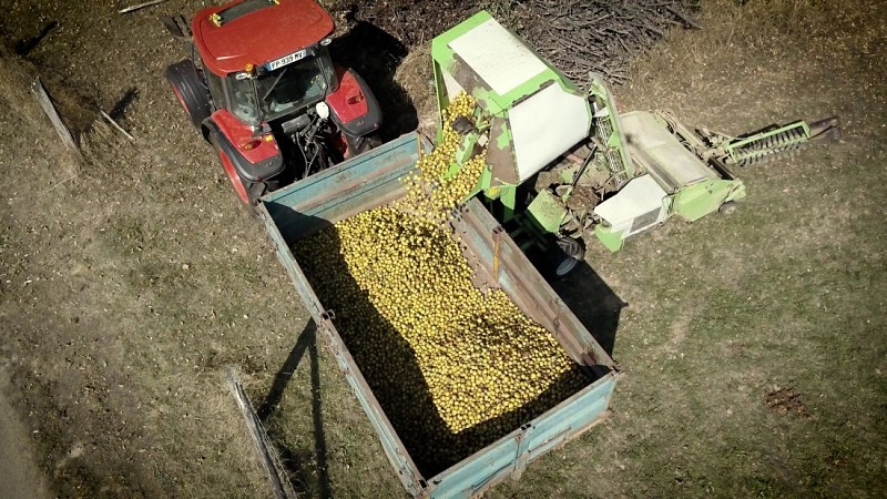 Sequence 01.00_00_51_13.Still017