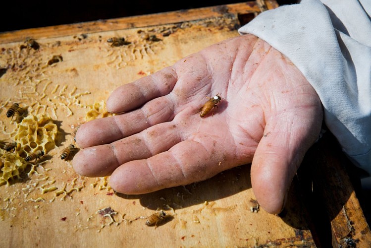 La grange des délices