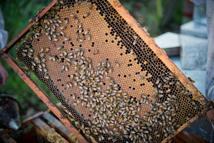 La grange des délices