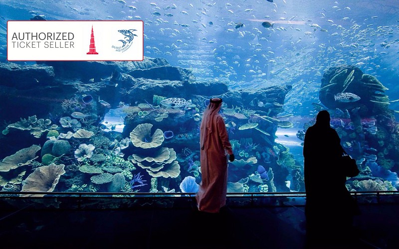 Dubai Aquarium & Underwater Zoo + Burj Khalifa Combo
