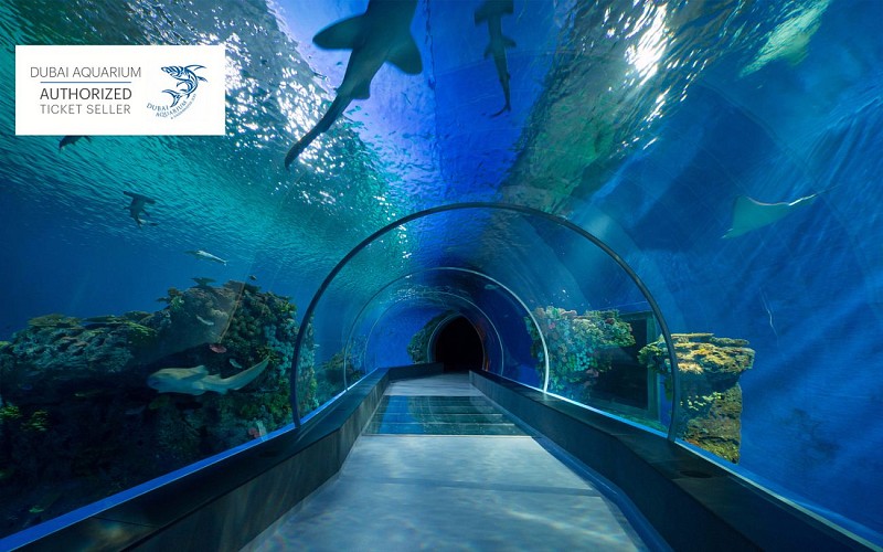 Dubai Aquarium & Underwater Zoo