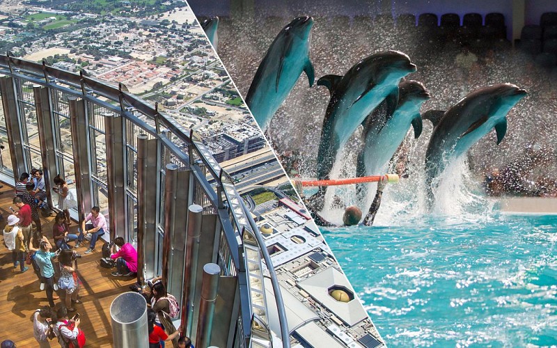 Burj Khalifa: At the Top (Level 124 & 125) & Dolphin and Seal Show