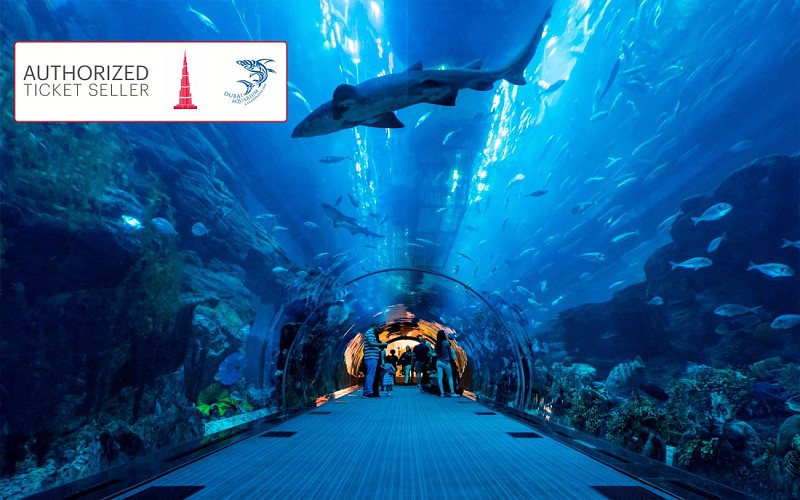 Burj Khalifa: Fast Track Access + Dubai Aquarium Combo