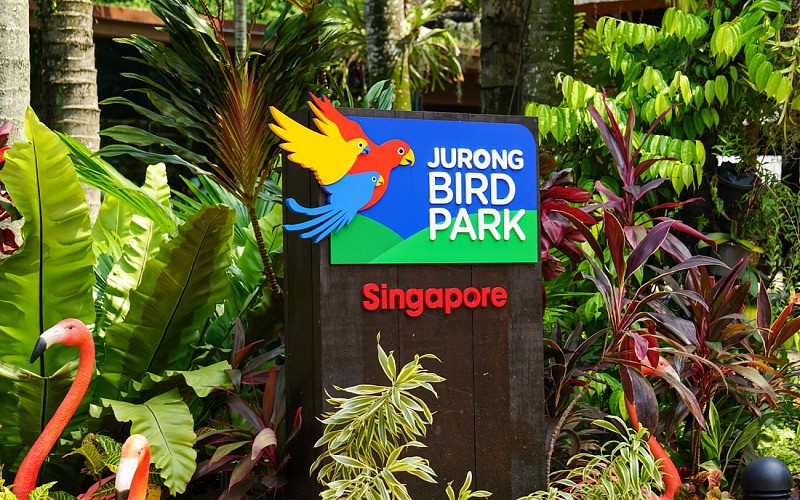 Park Hopper Plus: Singapore Zoo + River Safari + Night Safari + Jurong Bird Park