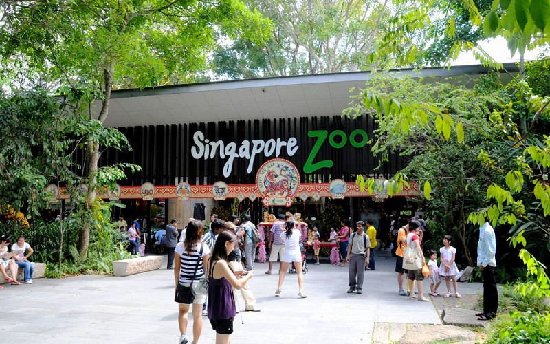 Super Saver Combo: Singapore Zoo + River Safari