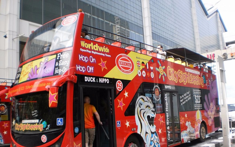 Hop-On-Hop-Off Singapore Bus Pass