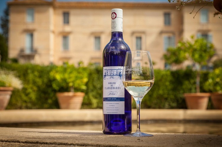 Chateau de Flaugergues-Montpellier_15