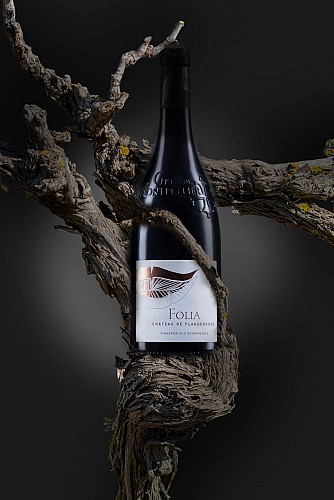 Vignes et folia