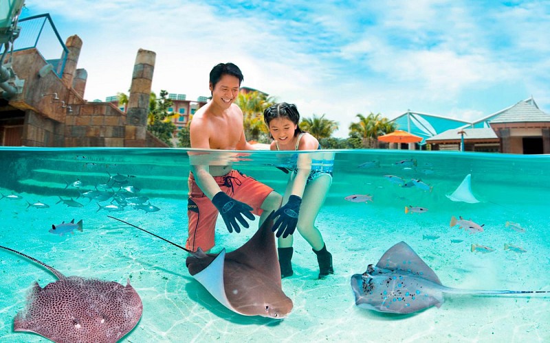 Universal Studios Singapore + Adventure Cove Waterpark™