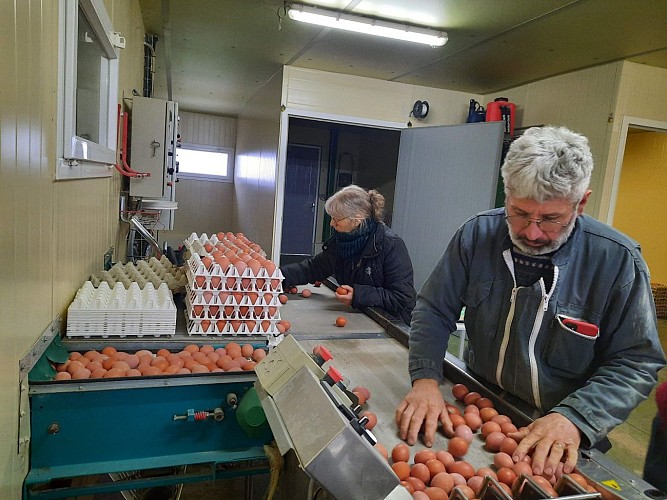 Vente à la ferme, Coco du marais