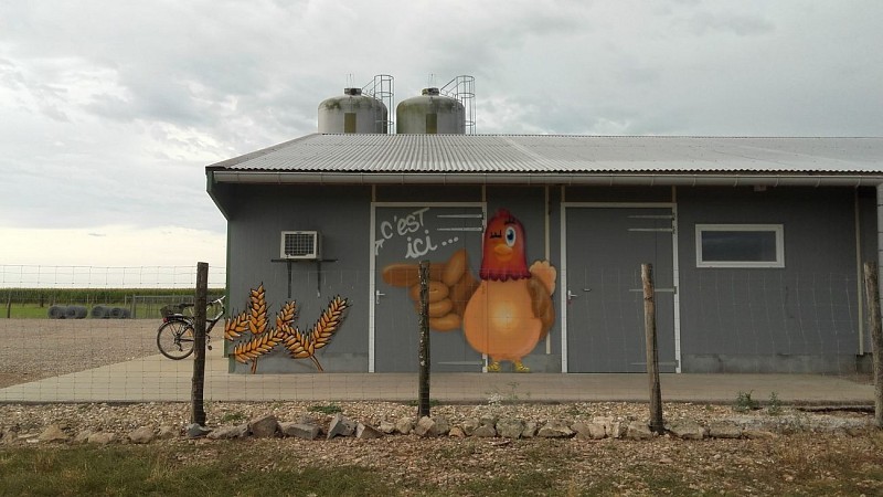 Vente à la ferme, Coco du marais
