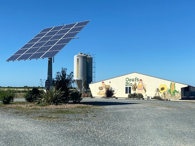 Vente à la ferme, Coco du marais