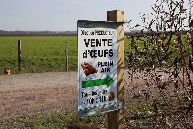 Vente à la ferme, Coco du marais