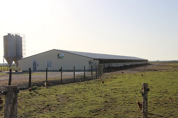 Vente à la ferme, Coco du marais