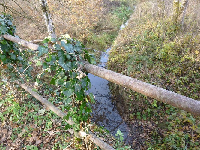 Ruisseau "Le Wirgo"